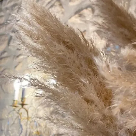 Le Domaine De Prin 3*