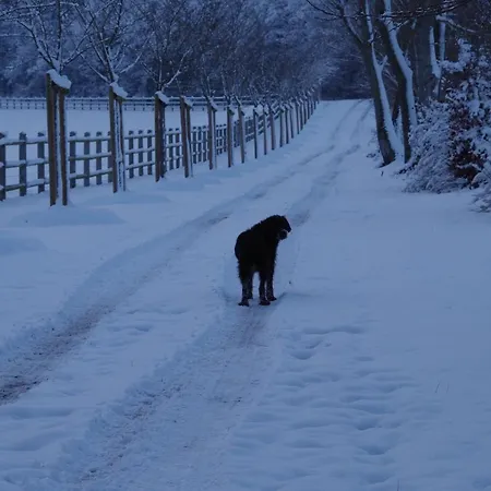 Le Domaine De Prin Отель типа 