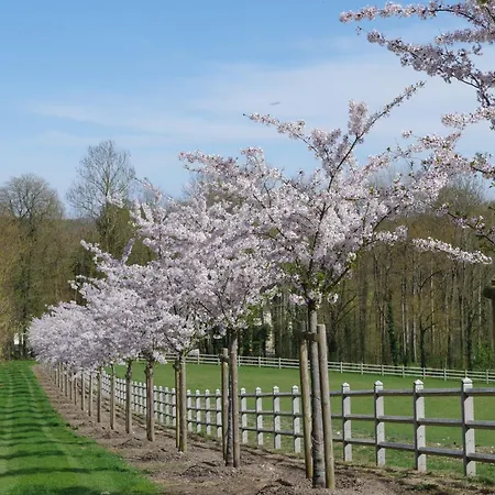 Le Domaine De Prin Serzy-et-Prin
