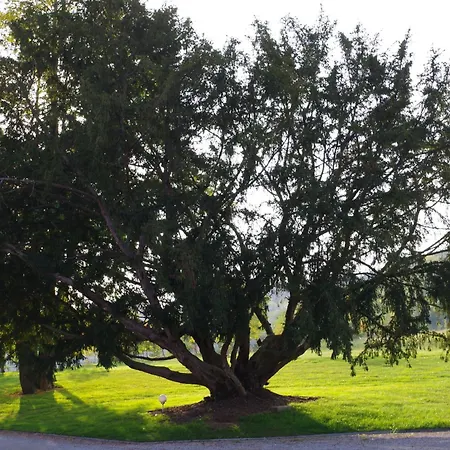 Alojamento de Acomodação e Pequeno-almoço Le Domaine De Prin Serzy-et-Prin