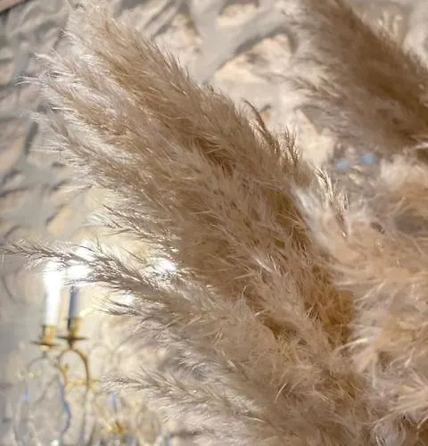 Le Domaine De Prin 3*