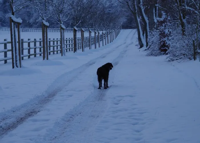 Le Domaine De Prin Bed & Breakfast