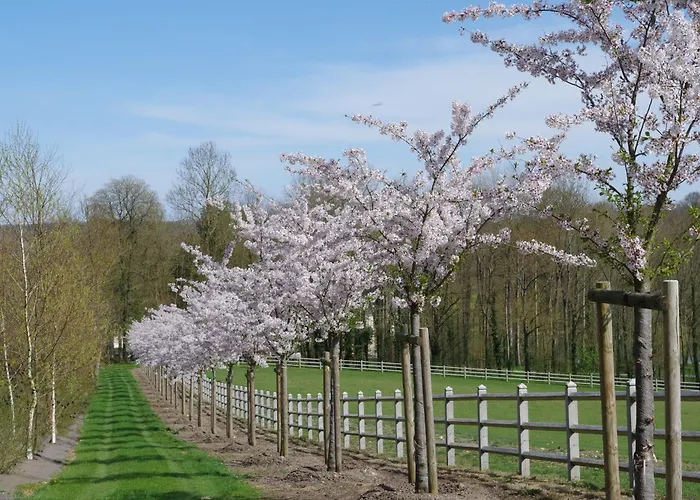 Le Domaine De Prin Serzy-et-Prin