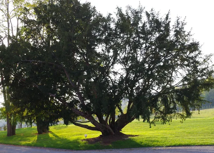 Bed & Breakfast Le Domaine De Prin Serzy-et-Prin